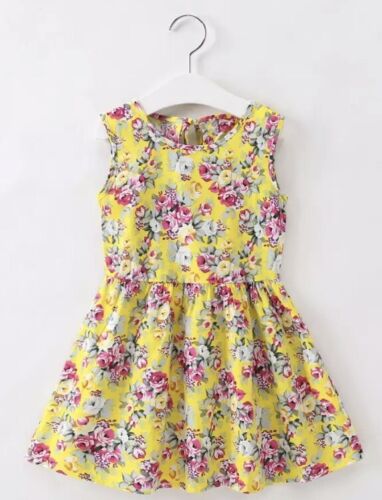 NWT Ditsy Floral A-line Sleeveless Twirl Dress Girls 5 Shabby Roses Party Sister - Picture 1 of 8