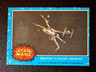1977 Star Wars trading card #53 Battle in outer space! EX se
