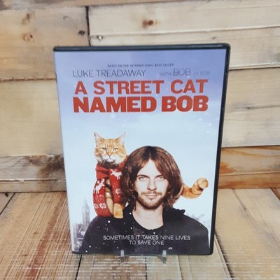 A Street Cat Named Bob DVD Used True Story Drama Family Cat Film