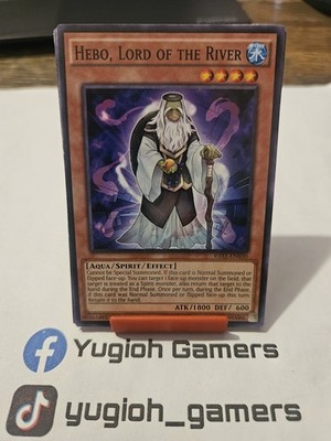 Yu-Gi-Oh Hebo Lord Of The River  RATE 1st Edition Common Light Played 