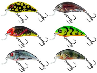 Salmo Rattlin Hornet 4,5cm 5,5g Shallow - schwimmender Wobbler für Barsch