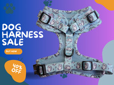 🐶🐾Imbracatura per Cani Taglia Piccola Super Comoda | Unicorno Acqua Blu 🦄 Spedizione Veloce