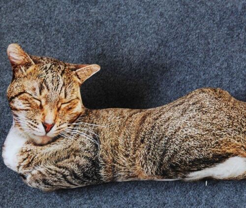 Almohada estampada de gato de 20" juguetes de peluche para animales niños pequeños regalos - Imagen 1 de 3