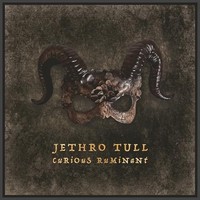 Jethro Tull - Curious Ruminant - Cd - G3Z