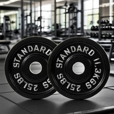 2-Pack 25LBS Cast Iron Olympic Weight Plate 2-Inch Center Hole Rust-Resistant