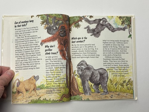 Questions Kids Ask Books by Grolier LOT of 9 Hardcover Science Home School - Imagen 7 de 15