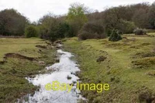 Photo 6x4 Stream running from Howen Bottom into Eyeworth Pond Fritham Sho c2008