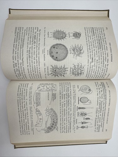 1943 1st Edition General Zoology Lot Tracy Storer Laboratory Manual Set Vintage - Picture 11 of 14