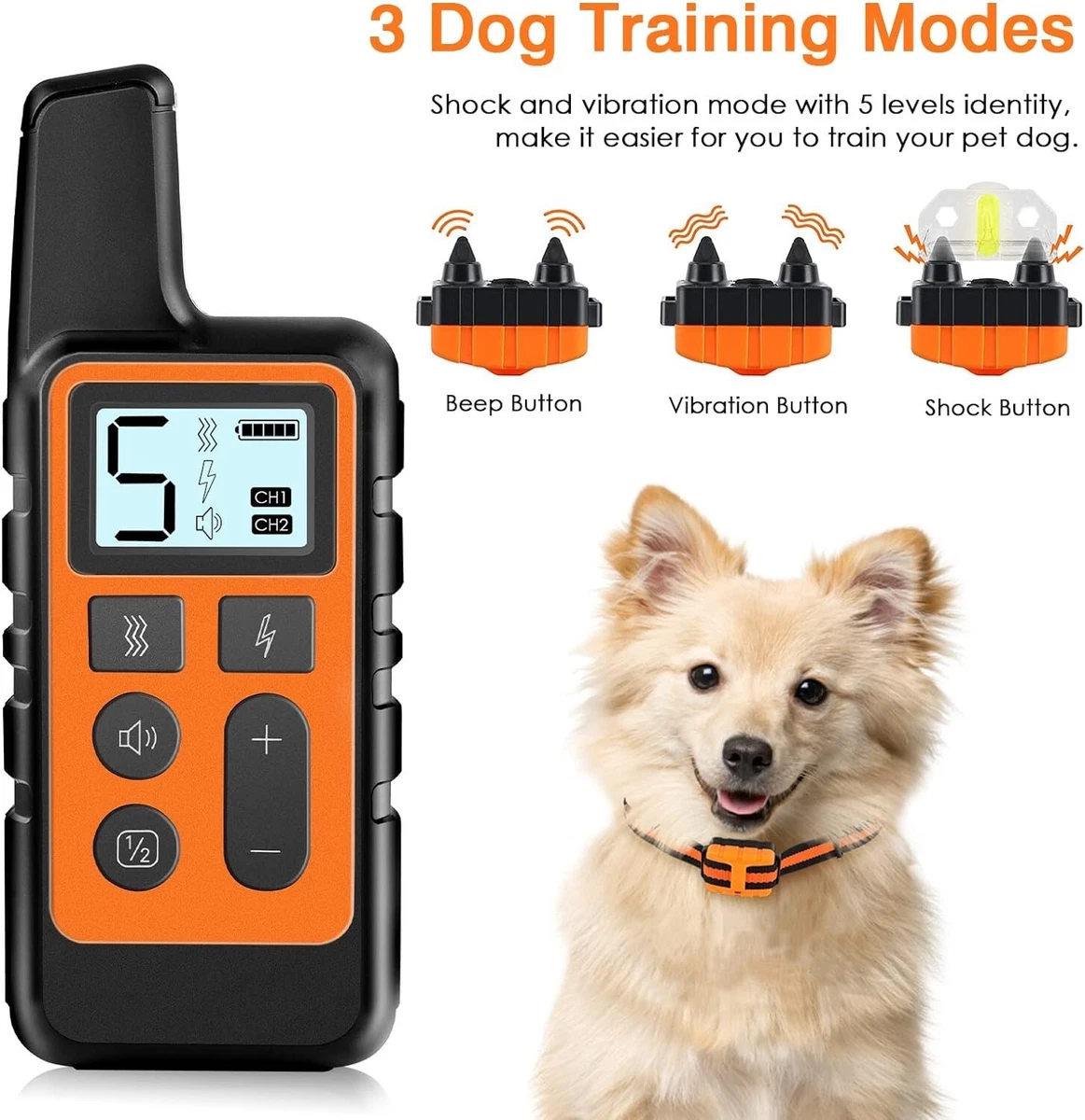 Sport dog hunting clearance collars