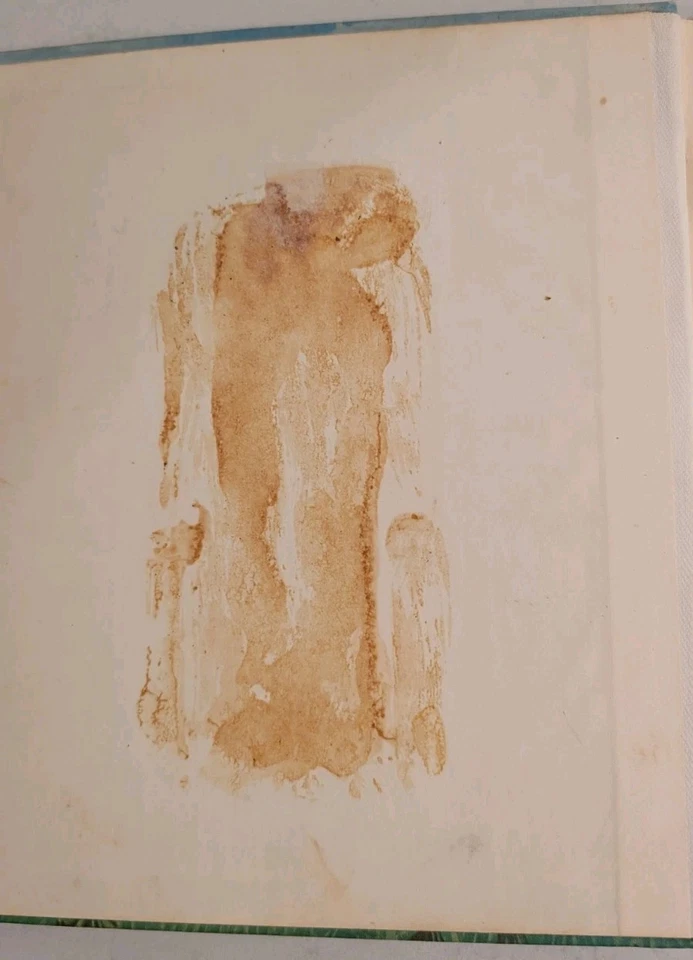 Lemonade Serenade or The Thing in the Garden - Image 3 of 4