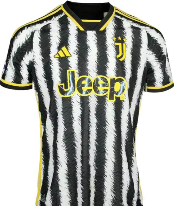 Matchworn Filip KOSTIC JUVENTUS TURIN Shirt - CERTIFICATE - Serbia Frankfurt - Bild 2 von 3