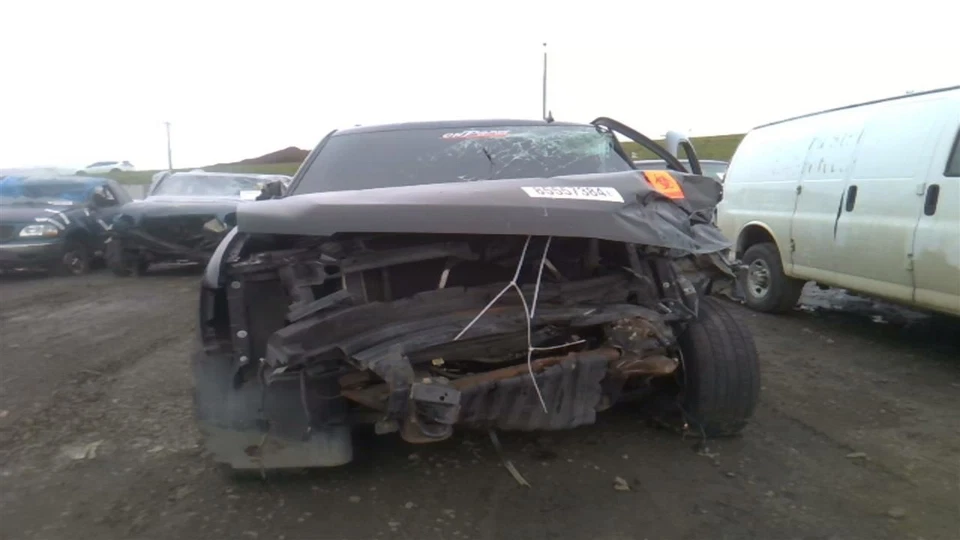 Trunk/Hatch/Tailgate With Privacy Tint Glass Fits 07-14 SUBURBAN 1500 28165696 - Изображение 3 из 4