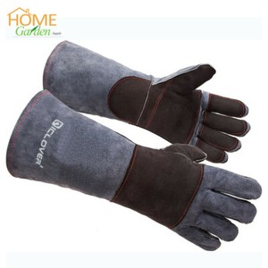 dog training glove