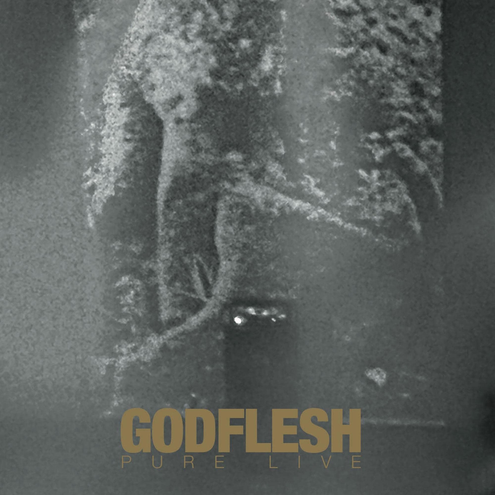 7024791 Audio Cd Godflesh - Pure: Live