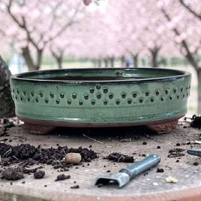 Vintage Japanese Bonsai Pot Tokoname Green Oval 11.5'' Wide Studs Footed EC 