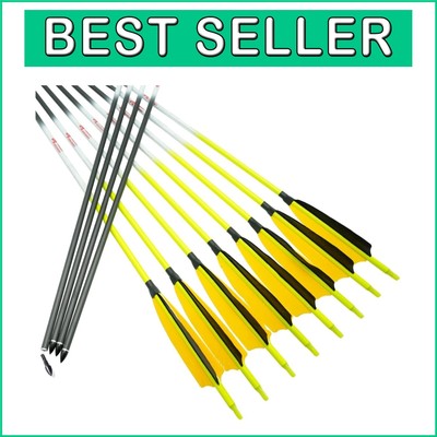 Premium Fluorescent Carbon Arrows - Removable Tips, Perfect for Target Practice