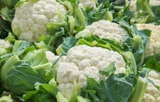 Snowball X Cauliflower Seeds, High Yield & Disease-Resistant, 50+ per pack, 2025