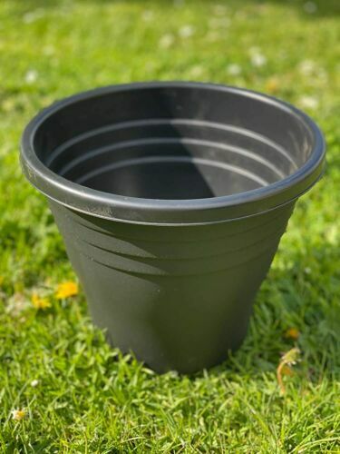 Supreme x Poggi Ugo Small Planter - Brand New | eBay UK