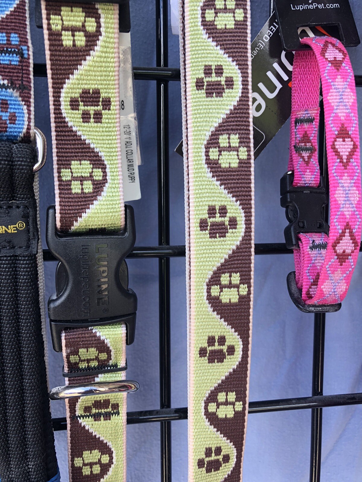 NWT Dog Pet Collars & Leashes, Lupine Brand Lifetime Guarantee Paw