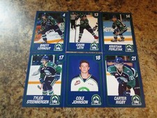 2014-15 SWIFT CURRENT BRONCOS TYLER STEENBERGEN WHL SINGLE PLAYER TRADING CARD