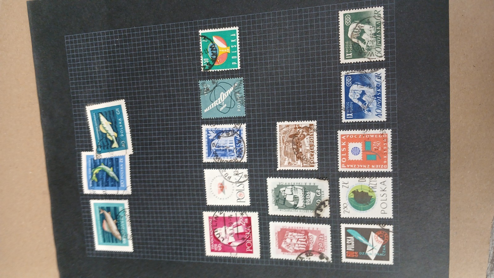 Picture 5 of 6