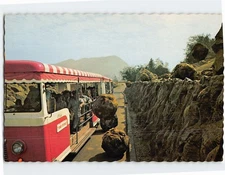 Postcard Visitors experience avalanche a la Hollywood Universal Studios CA USA