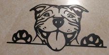 Pitbull Decal