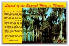 Legend of the Spanish Moss in FL Florida Story Chrome Postcard Posted 1972