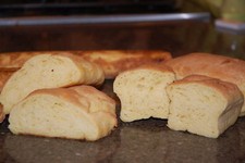 Gluten Free SOURDOUGH STARTER San Francisco yeast bread flour mix SAMMY