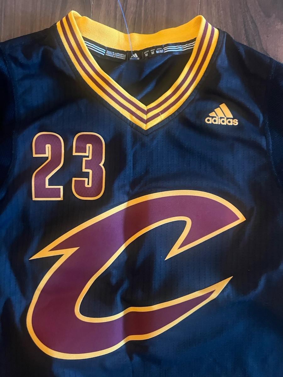 Cleveland Cavaliers LeBron James #23 Swingman Sleeve Black