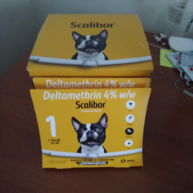 1x PFIZER SCALIBOR large DOG 6month FLEA TICKS COLLAR 48cm 6 exp 2021