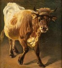 Afbeelding 2 van 2
