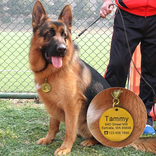 Personalized Dog Tag 3D Dog Breed Patterns Pet Name ID Tags Pitbull/Poodle/Corgi - Picture 12 of 32
