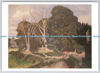 L368606 Royal Academy of Arts The Fallen Tree John Northcote Nash Bear