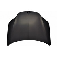 Motorhaube Vorne FüR Renault Laguna Von 2007 OEM 651000021R