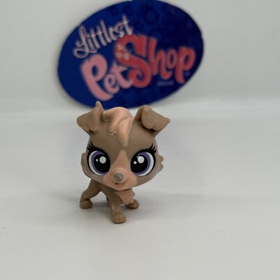 Hasbro Littlest Used Littlest Pet Shop For Sale Hasbro Littlest