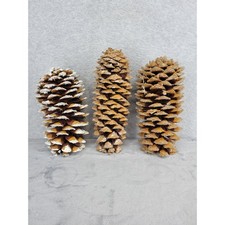 Lot Of 3 Large 10" Glitter Frosted Pine Cones Natural Christmas Winter Decor