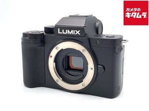 Panasonic Lumix G100 | eBay