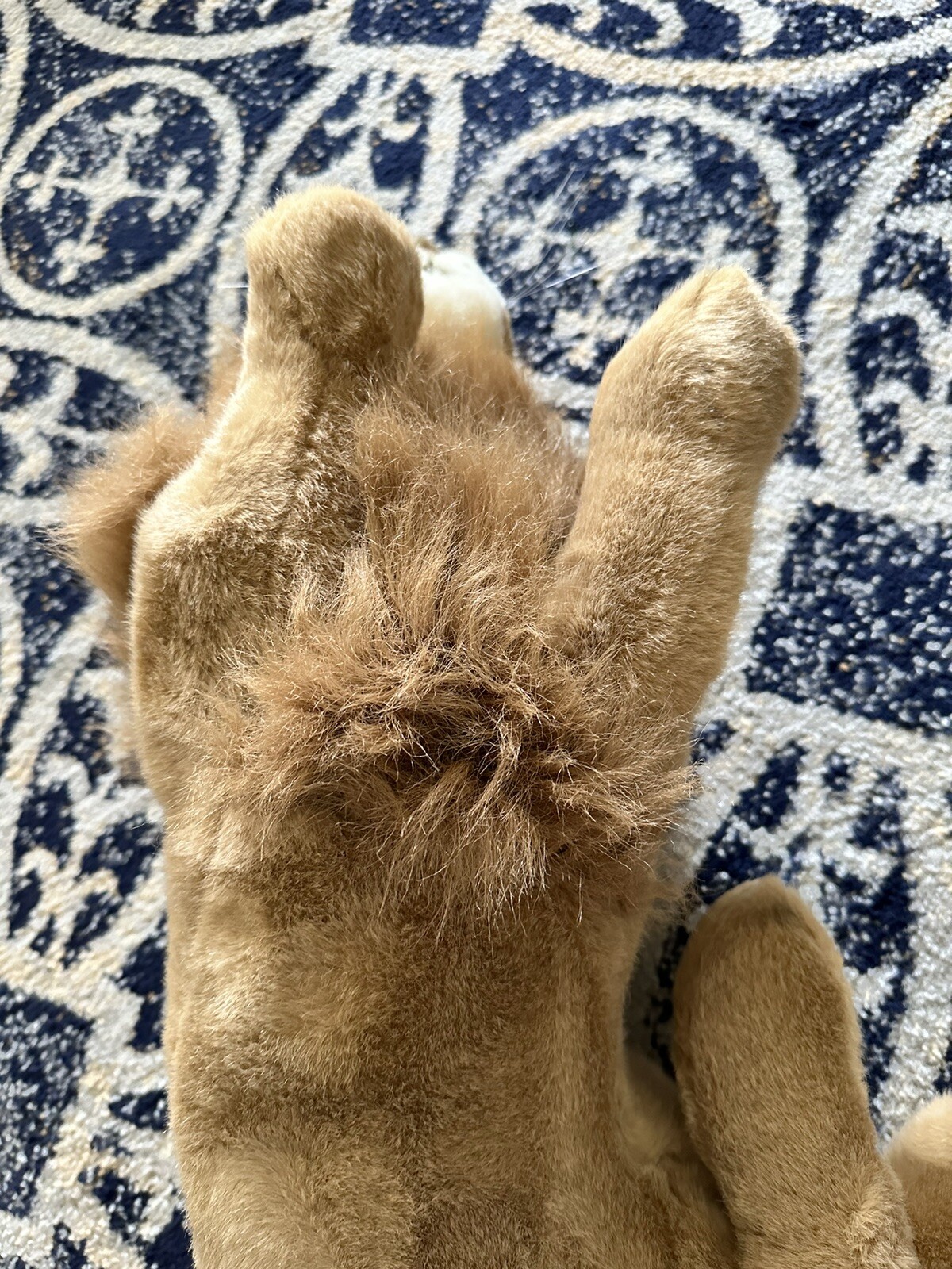 Picture 9 of 17