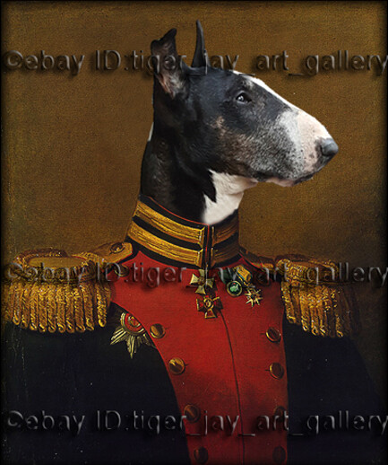 Bull Terrier Prank General Dog Head Uniform Pig-dog Animal Pet - Main Image