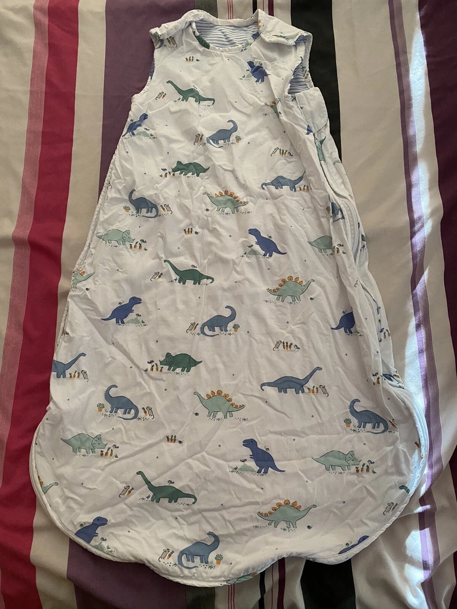 Dinosaur baby hot sale sleeping bag