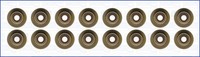 1X Ajusa 57042200 Dichtungssatz Ventilschaft FüR CitroëN Fiat Peugeot Iveco Auve