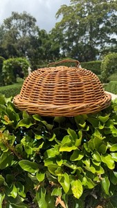 Domed Rattan Cover and Base for Outdoor Entertaining