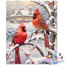 HMZephitiquc Cardinal Paint by Numbers Kit for Adults 16x20 in,