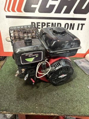 Hayter Sp36 Rasen Vertikutierer Briggs & Stratton Horizontalwelle Motorbaugruppe
