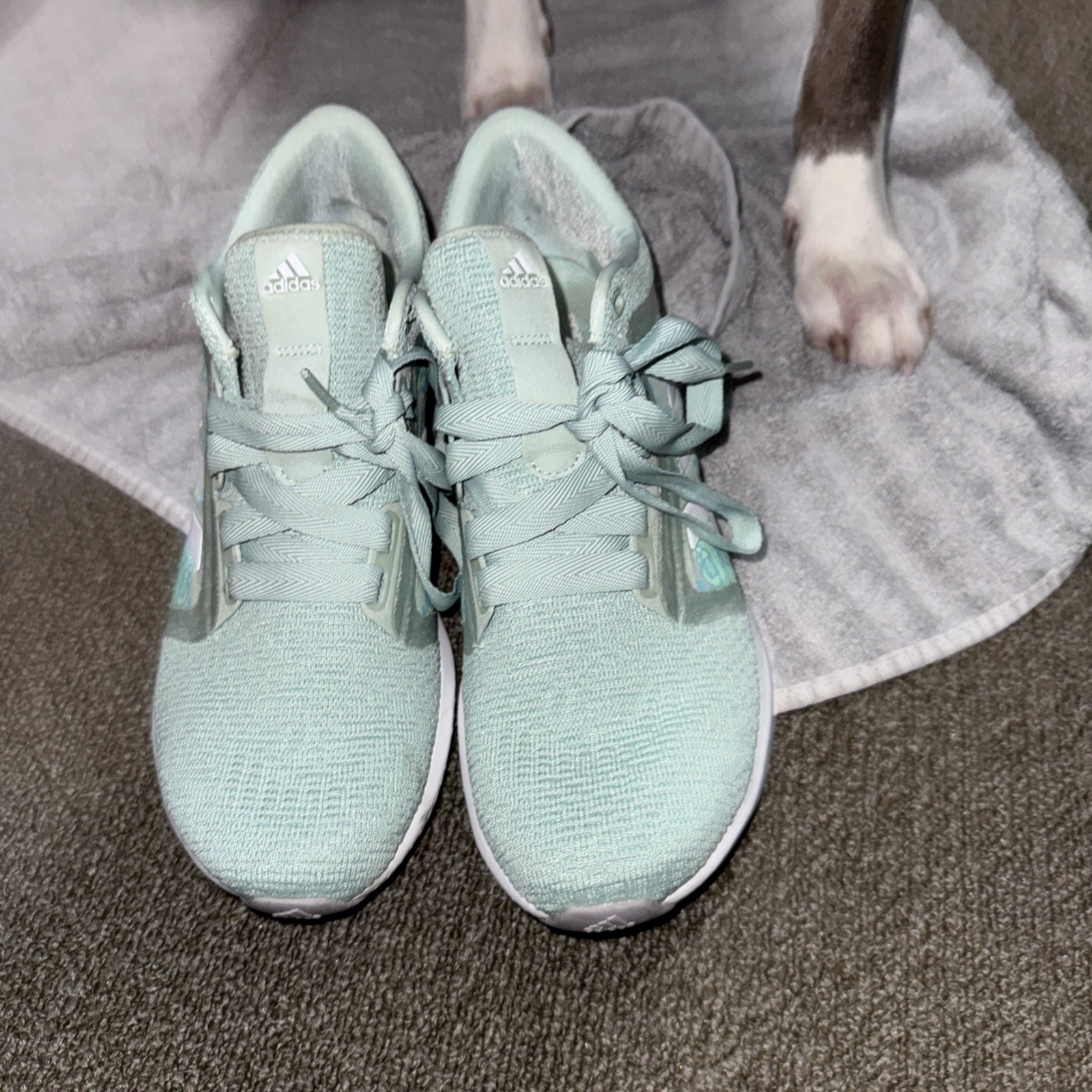Adidas Edge Lux Women’s Shoes Sneakers Size 10 Mint Green 001001 Bounce Adidas Edge Lux Women’s Shoes Sneakers Size 10 Mint Green 001001 Bounce