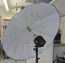 Paul C. Buff 51" Soft Silver Umbrella with AlienBees Speed Ring