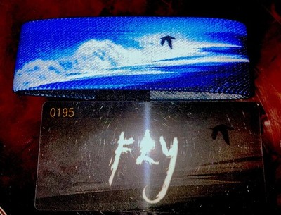 Zox Fly by Lumi hat lange gebraucht, um dieses seltene Armband zu finden atemberaubend Meer und Vogel 