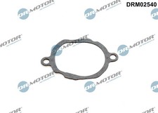 Thermostat Mercedes 300