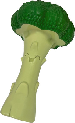 Nylabone Broccoli Power Chew Toy for Dogs, Dog Toys for Aggressive Chewers, Baco